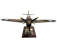 P40 Warhawk Model Airplane to help support Chennault Aviation and Military Museum